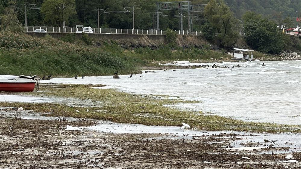 Bir tarafta afet, bir tarafta bereket: Sapanca Gölü'nde son iki yılın en yüksek su seviyesi - 10. fotoğraf