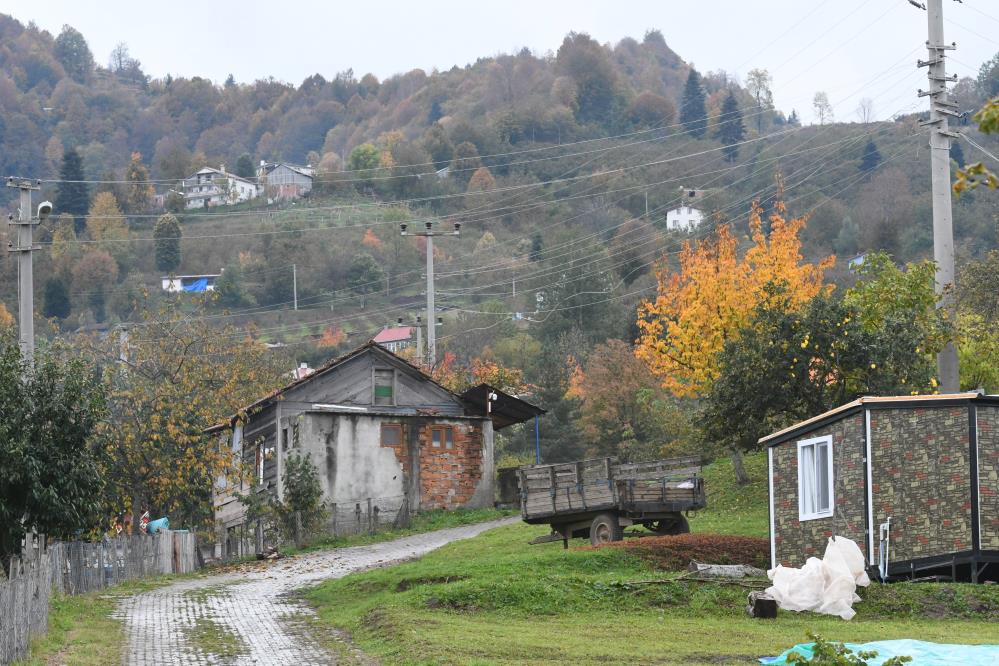 Dikmen Yaylası sonbaharın renklerine büründü - 3. fotoğraf