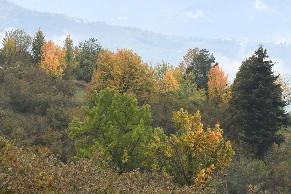 Dikmen Yaylası sonbaharın renklerine büründü - 5. fotoğraf