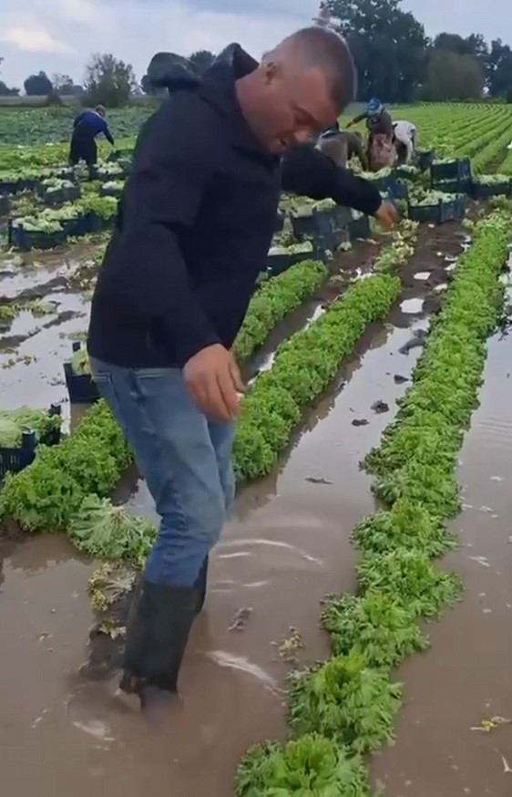 Göle dönen tarlalarda üreticiler mahsulleri kurtarmak için zamana karşı yarışıyor - 2. fotoğraf