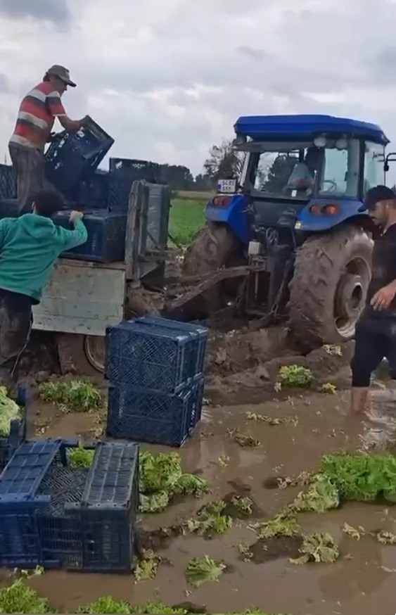 Göle dönen tarlalarda üreticiler mahsulleri kurtarmak için zamana karşı yarışıyor - 1. fotoğraf