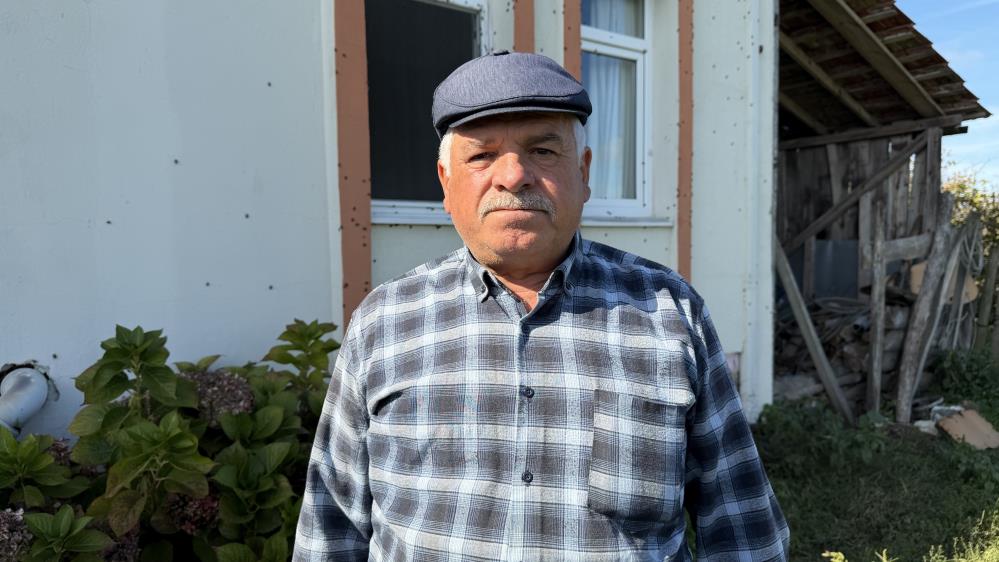 Kokarca istilasına karşı ilginç mücadele: İlaç yetmedi, tavuk ve hindiler devreye girdi - 14. fotoğraf