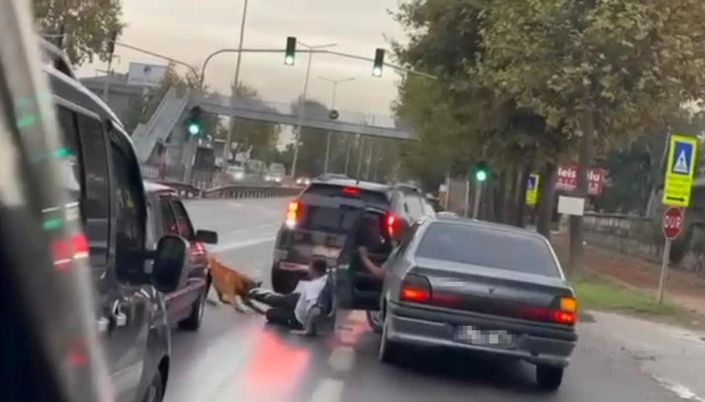 Köpeğin saldırısı ile dehşeti yaşamıştı: O anları anlattı - 1. fotoğraf