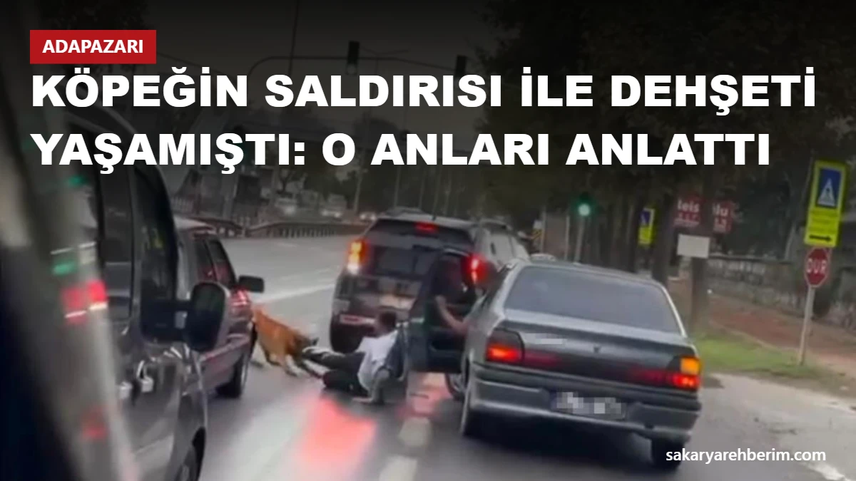 Köpeğin saldırısı ile dehşeti yaşamıştı: O anları anlattı