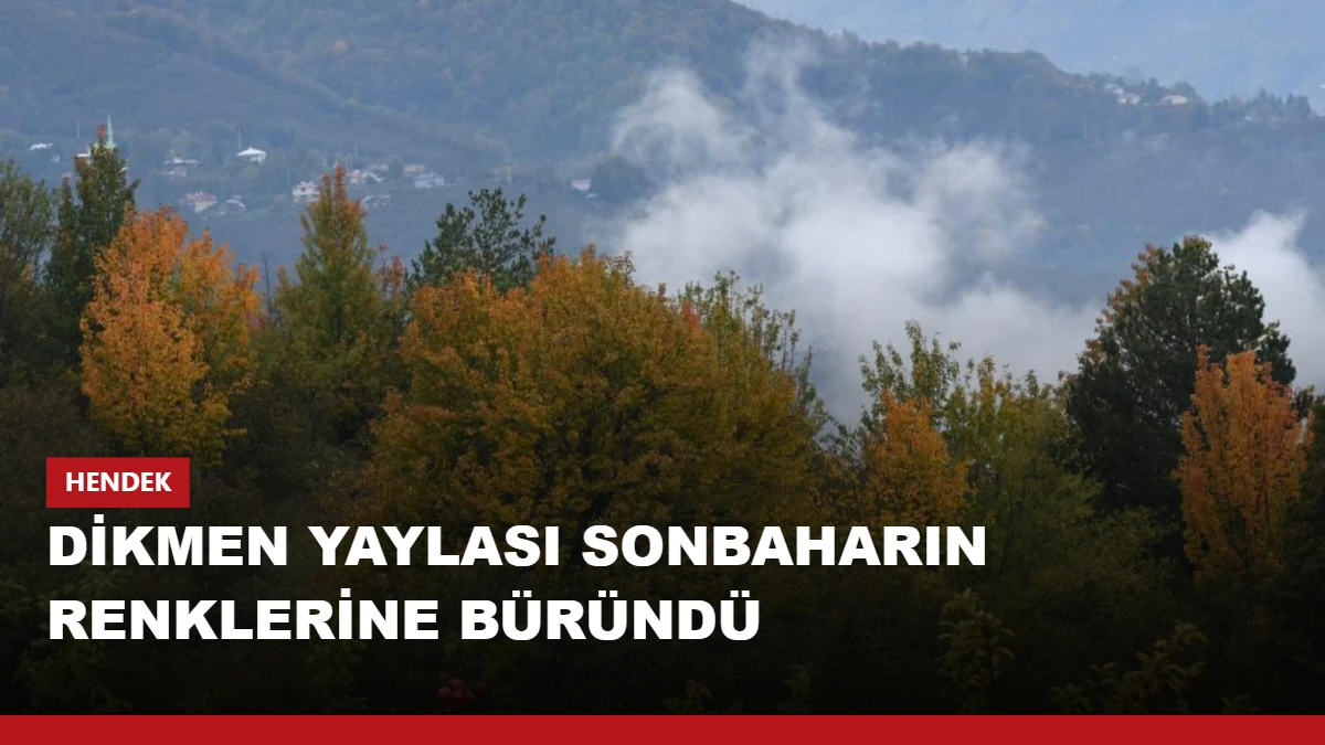 Dikmen Yaylası sonbaharın renklerine büründü