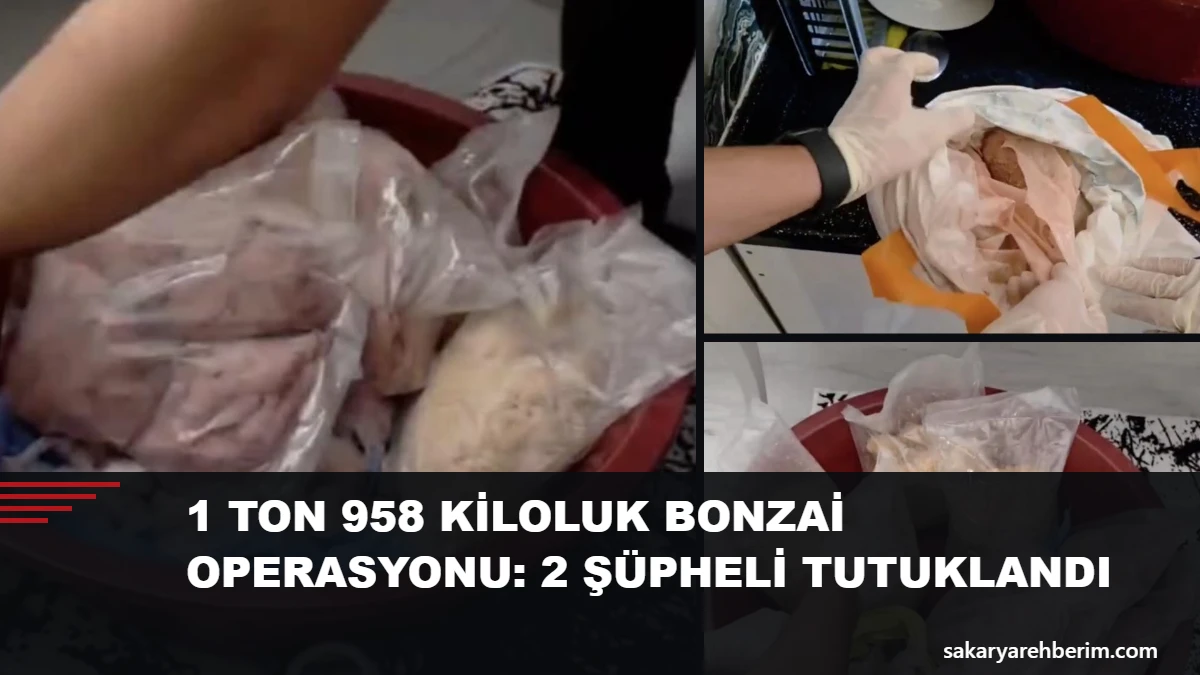 1 ton 958 kiloluk bonzai operasyonu: 2 şüpheli tutuklandı