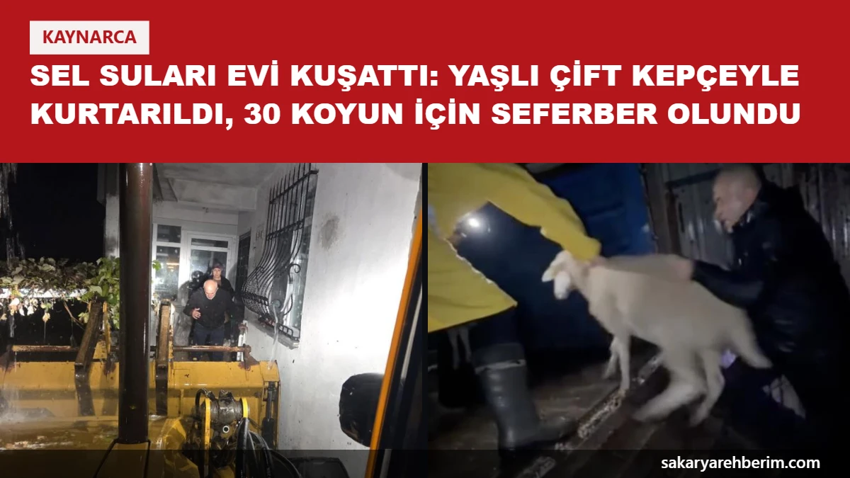 Sel suları evi kuşattı: Yaşlı çift kepçeyle kurtarıldı, 30 koyun için seferber olundu