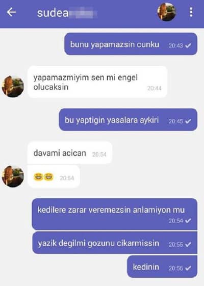 Gözleri oyulmuş kedinin fotoğrafı hayvanseverleri kızdırdı - 3. fotoğraf