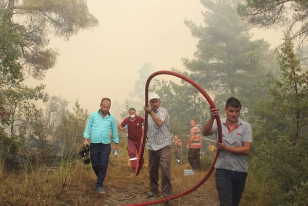 Göynük'te ormanlık alan kül oldu - 5. fotoğraf