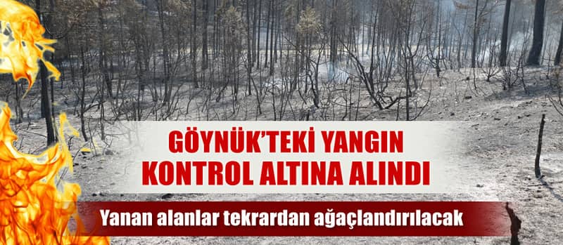 Göynük'te ormanlık alan kül oldu - 8. fotoğraf