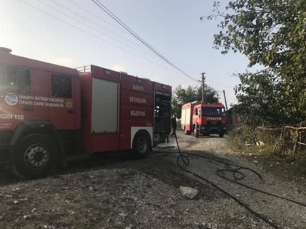 Çıkan yangında bir hayvan telef oldu - 2. fotoğraf