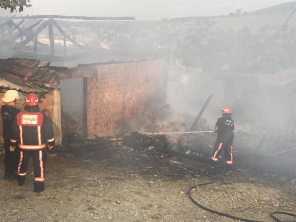 Çıkan yangında bir hayvan telef oldu - 3. fotoğraf