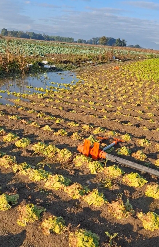 Çiftçinin emeği sular altında kaldı, "Sağlık olsun" dedi - 1. fotoğraf