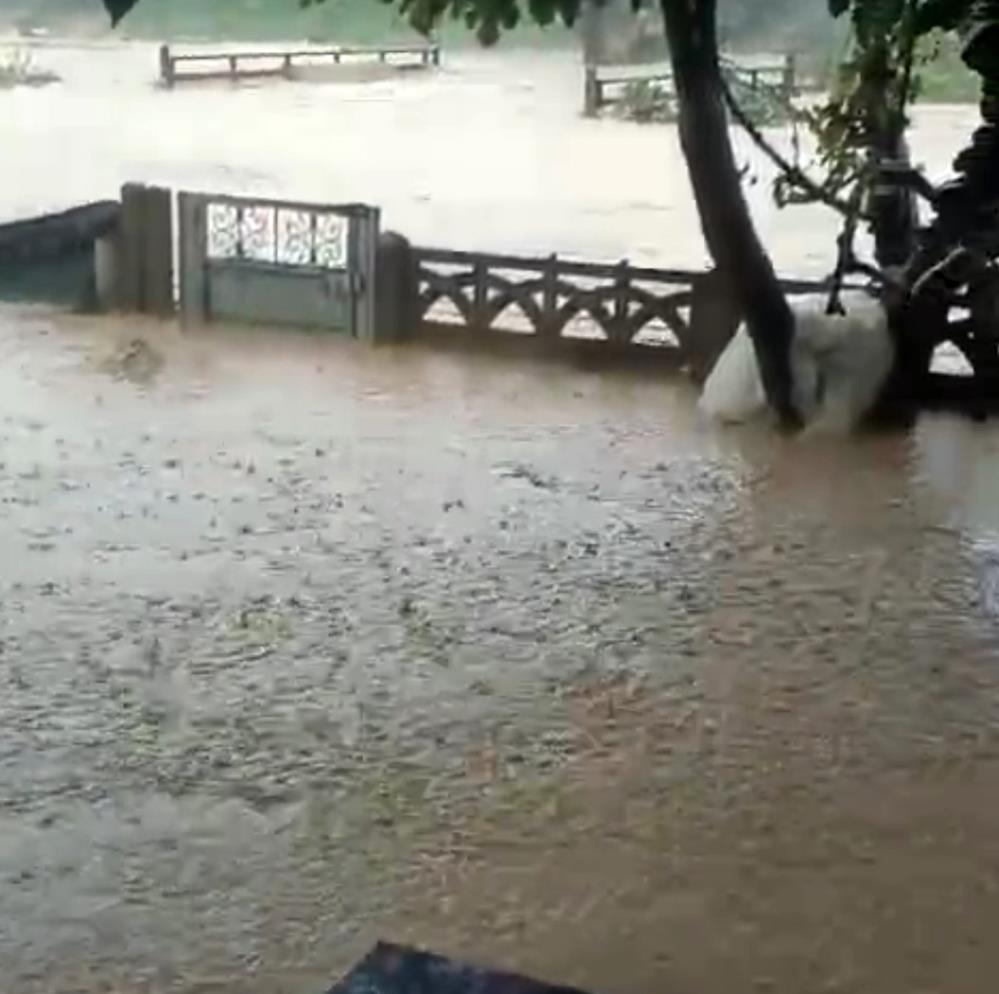 Sakarya'da sel bir mahalleyi sulara gömdü: 60 bin kanatlı hayvan telef oldu - 2. fotoğraf