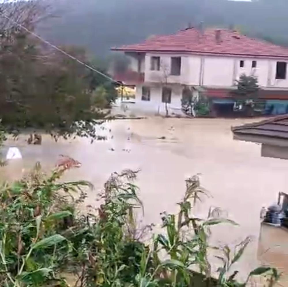 Sakarya'da sel bir mahalleyi sulara gömdü: 60 bin kanatlı hayvan telef oldu - 3. fotoğraf