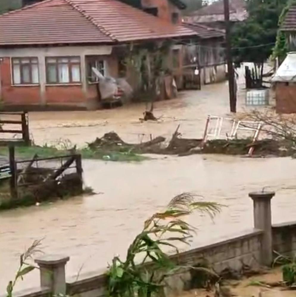 Sakarya'da sel bir mahalleyi sulara gömdü: 60 bin kanatlı hayvan telef oldu - 4. fotoğraf