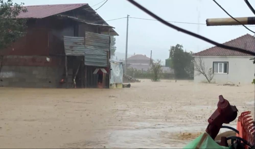 Sakarya'da sel bir mahalleyi sulara gömdü: 60 bin kanatlı hayvan telef oldu - 1. fotoğraf