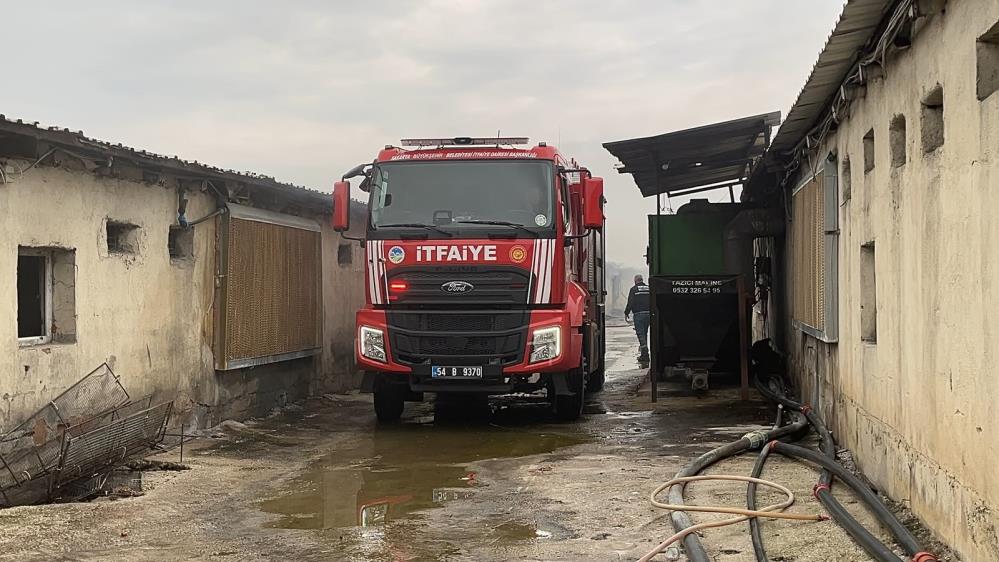 Sakarya'da tavuk çiftliğinde çıkan yangın söndürüldü - 3. fotoğraf
