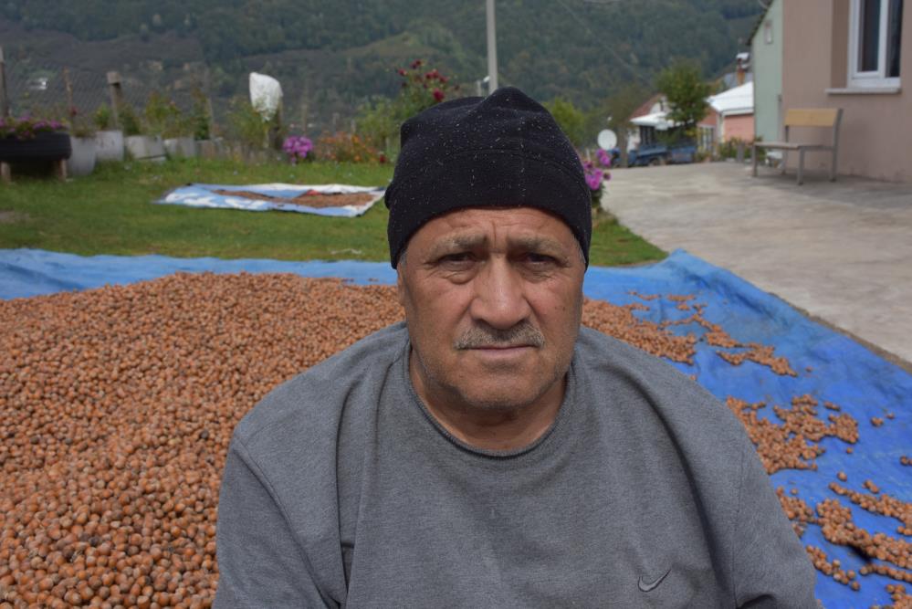 Sakarya'nın yüksek kesimlerinde fındık mesaisi devam ediyor - 4. fotoğraf