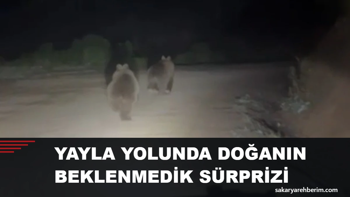 Yayla yolunda doğanın beklenmedik sürprizi