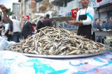 Karasu\'da hamsi festivali