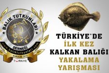 Kocaali\'de Kalkan Balığı Yakalama Yarışması