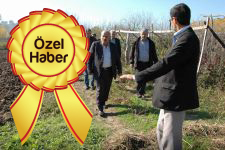 \"Bu ürün, fındıktan 80 kat daha fazla kârlı\"