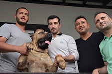 SEDAŞ personellerine 'köpekle iletişim' eğitimi veriliyor