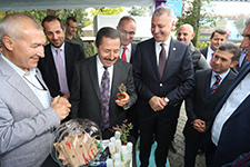 Yeni tür endemik bitkiye Sakarya adı verildi