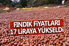 Fındık fiyatı 17 liraya yükseldi