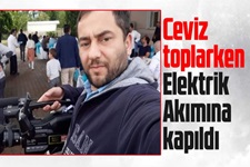 Ceviz toplarken elektrik akımına kapıldı