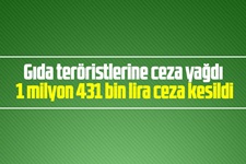 Gıda teröristlerine ceza yağdı