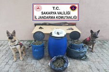 Toprak altından 11 kilo esrar çıktı