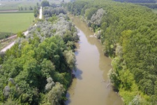 Sakarya Nehrinde toplu balık ölümü