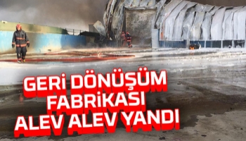 Hendek'te fabrika alev alev yandı