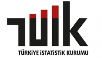 TÜİK doğalgaz ve elektrik için zam oranlarını açıkladı