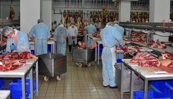 Sakarya Kombinası'na 55 geçici işçi alınacak