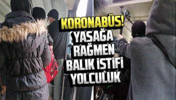 Koronabüste balık istifi yolculuk