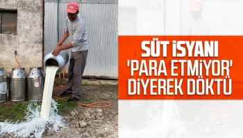 Süt isyanı 'Para etmiyor' diyerek döktü