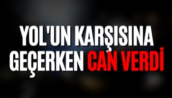 Yol'un Karşısına Geçerken Can Verdi