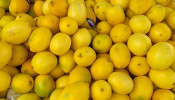 Seyyar Limon Satıcıları Birbirine Girdi!