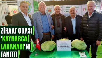 Ziraat Odası 'Kaynarca Lahanası'nı Tanıttı
