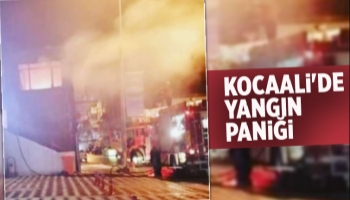 Kocaali'de yangın paniği
