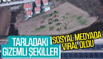 Korucuk'ta çekilen bu fotoğraf sosyal medyada viral oldu