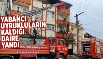 Hendek'te yangın