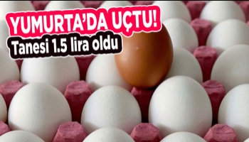 Yumurta fiyatları uçtu