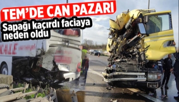 TEM'de tır yolcu otobüsünü biçti