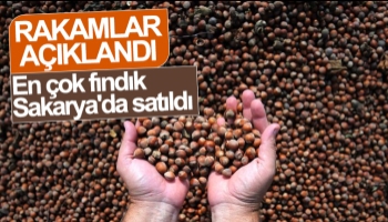 En çok fındık Sakarya'da satıldı