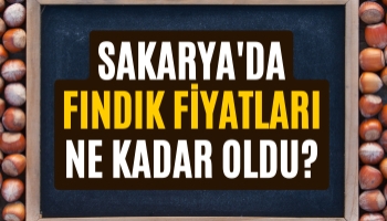Sakarya'da Fındık Fiyatları Ne Kadar Oldu?