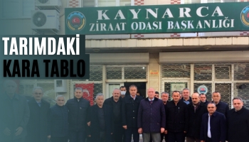 Tarımdaki Kara Tablo